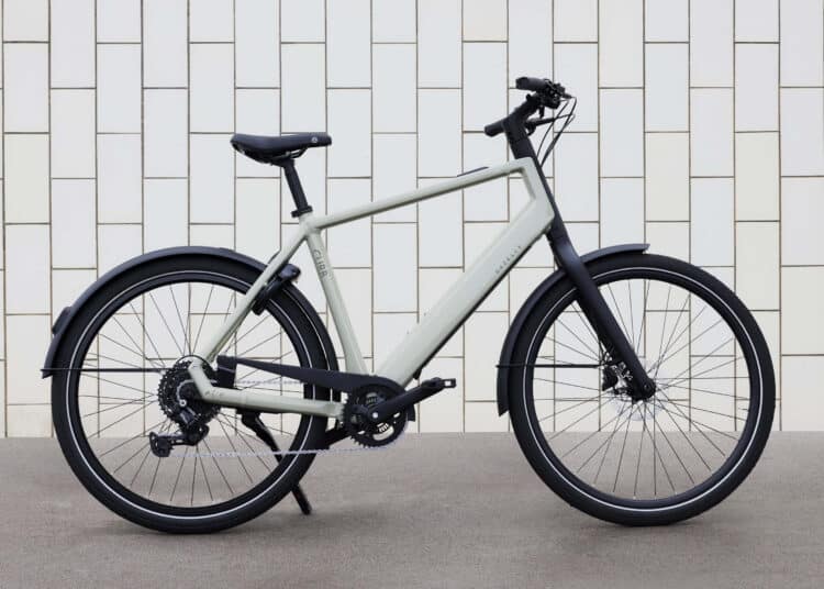 Gazelle Curb T9