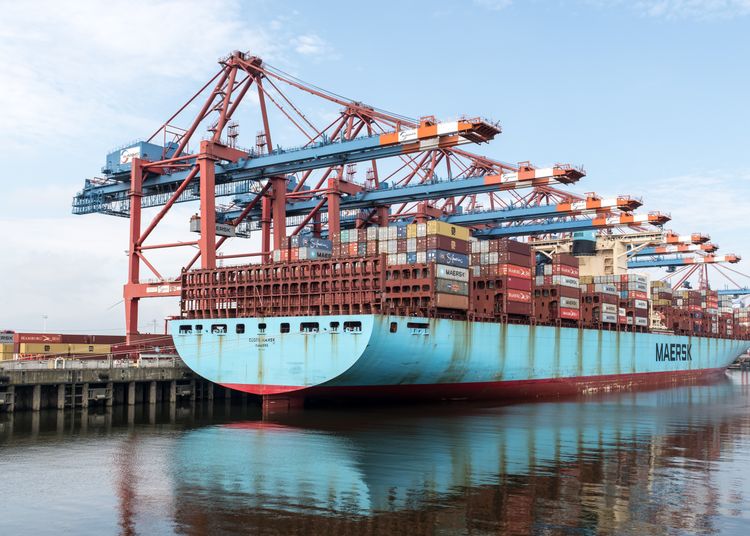 A large container ship docked at the Port of Hamburg with cranes loading cargo.